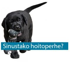 a black dog holding a remote control in its mouth with the caption sinustako hottopperhe?