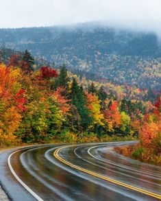 an empty road surrounded by colorful trees in the fall with foggy skies and low lying clouds