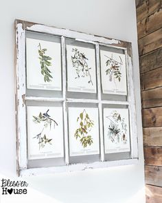 six framed botanical prints mounted in an old window frame on the side of a wooden wall