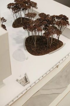 several small trees are placed on a white surface