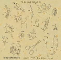 an old paper with drawings on it that include flowers, plants and other things to draw