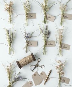 various flowers and tags are arranged on a white surface with twine spools