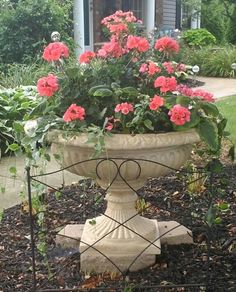 a planter filled with pink flowers sitting in the middle of a garden