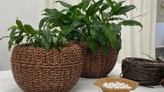 three plants in wicker baskets sitting on a table next to some other items,