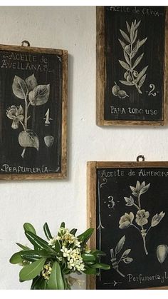 three framed chalkboards with flowers and herbs on them are hung on the wall next to a potted plant