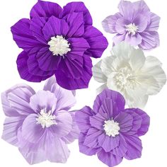 four purple and white flowers are shown in different colors on the same flower head, each with its own petal