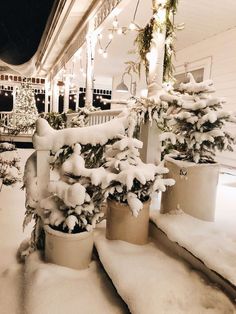 some potted plants covered in snow on a porch