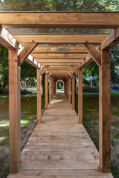 a wooden walkway lined with trees and grass