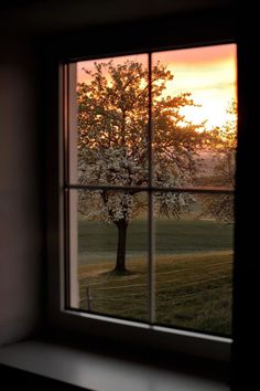 an open window with a view of a tree in the distance and sunset behind it