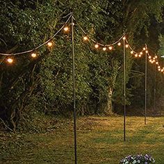 an outdoor area with several lights strung from poles and flowers in the grass near trees