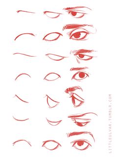 an eye chart with different types of eyes and their corresponding parts are shown in red