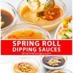 the cover of spring roll dipping sauces