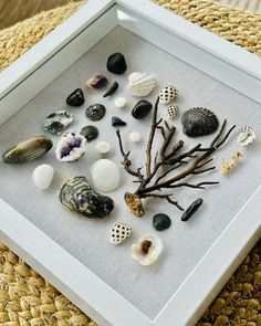 sea shells are arranged in a shadow box on a wicker tablecloth with white frame