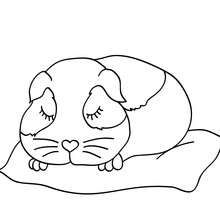 a black and white drawing of a hamster sleeping on a pillow with its eyes closed