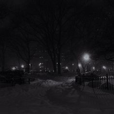 a snowy night with street lights and trees