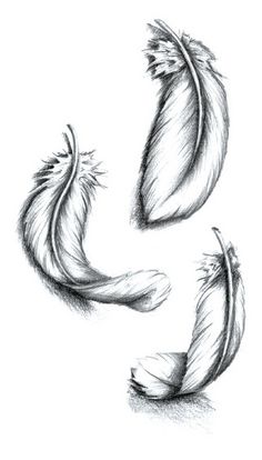 three feathers that are flying in the air