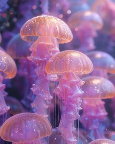 many jellyfish are floating in the water