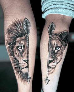 two lions with arrows on their legs, one is black and white while the other has blue eyes