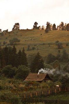 Rural Village Aesthetic, Village Forest Aesthetic, Scottish Village Aesthetic, Farm Village Design, Medieval Farm Aesthetic, Village In A Forest, Irish Village Aesthetic, Fairytale Village Aesthetic, Cozy Village Aesthetic