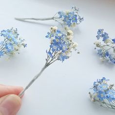 someone is cutting out small blue and white flowers