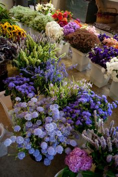 many different types of flowers are on display in white containers with purple and yellow flowers