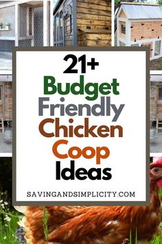 chicken coops with text overlay that reads, 21 budget friendly chicken coop ideas