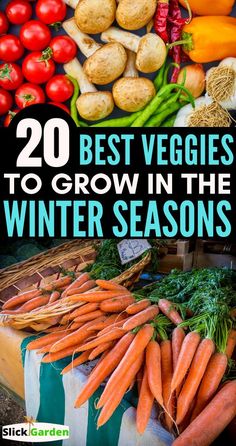 the top 20 best veggies to grow in the winter season