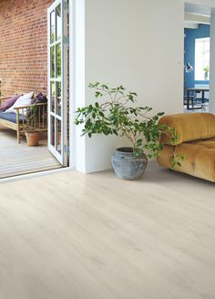 a living room filled with furniture and a potted plant on top of a wooden floor