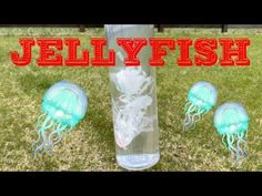 jellyfish in a plastic bottle on the grass with text overlay that reads jellyfish