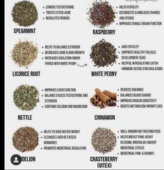 the different types of herbs and their uses