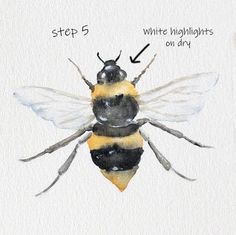 a watercolor painting of a bee with the words step 5 written on it's side