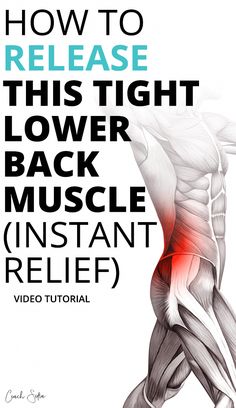 Here's how to effectively release the quadratus Lumborum (ql) muscle pain and keep the pain away (video tutorial and images) Ql Muscle, Quadratus Lumborum, Lower Back Pain Remedies, Back Muscle, Back Relief, Pain Relief Remedies, Lower Back Muscles