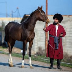 a man is standing next to a brown horse on the side of the road with his leashed up