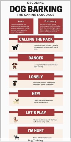 an info sheet describing the different types of dogs and how they can be used to teach them