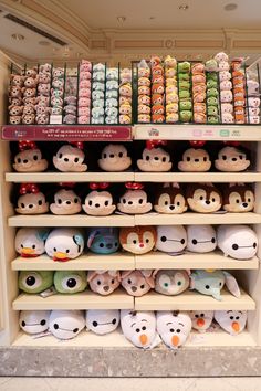 the shelves are filled with many different kinds of stuffed animals