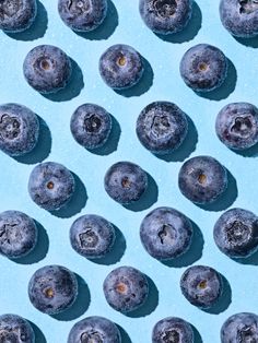 blueberries are arranged in rows on a light blue surface with tiny holes at the center