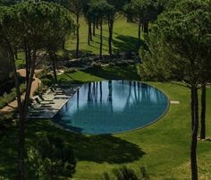 an aerial view of a pool surrounded by trees