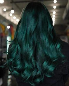 23+ Fabulous Black and Green Hair Color Ideas Trending This Year 2 Green Dyed Hair, Dark Green Hair Dye, Hair Color Images, Green Hair Dye, Blond Ombre, Hair 2022