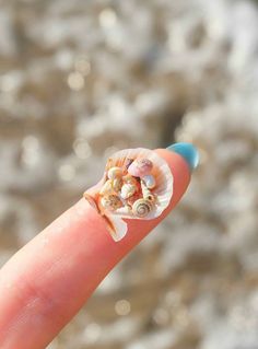 a tiny sea shell on someone's finger