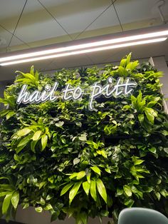 a green wall with the words wait to pilt lit up in white letters on it