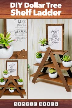 diy dollar tree shelf ladder with succulents in it and the instructions to make