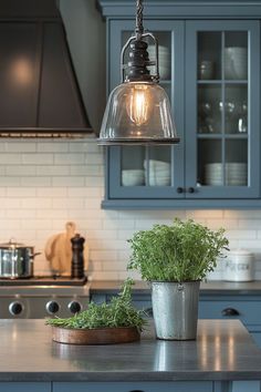 a potted plant sitting on top of a kitchen counter next to a light fixture