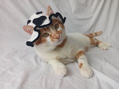 a cat wearing a crocheted cow hat on top of it's head