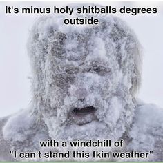 Home / X Funny Winter Pictures, Plumbing Memes, Hate Cold Weather, Cold Weather Funny, Canning Diva, Weather Jokes, Pics Of The Sky, I Hate Winter, Weather Memes