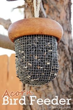 a bird feeder hanging from a tree with the words acorn bird feeder on it