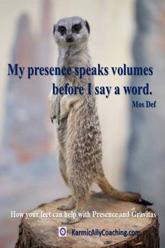 a meerkat standing on top of a tree stump with the caption, my presence speaks volumenes before i say a word