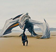 a man standing on top of a sandy beach next to a giant dragon shaped kite