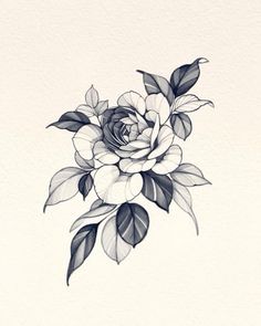 a black and white drawing of a flower