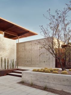 an outdoor area with concrete walls and plants