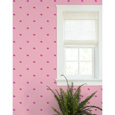 a potted plant sitting next to a window in a pink wallpapered room